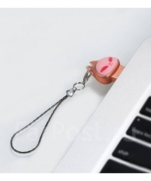 Флеш накопитель REMAX USB 2.0 16G RX-805 розовое золото